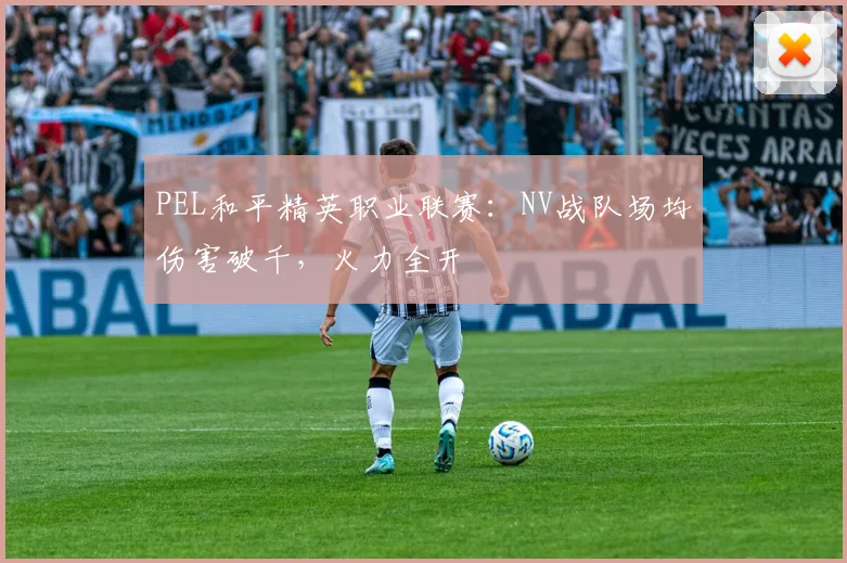 PEL和平精英职业联赛：NV战队场均伤害破千，火力全开