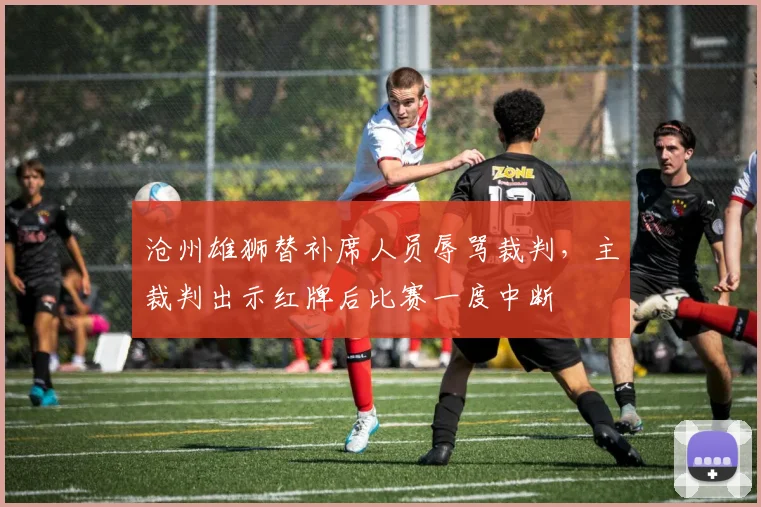 沧州雄狮替补席人员辱骂裁判,主裁判出示红牌后比赛一度中断